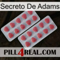 Adams Secret 19